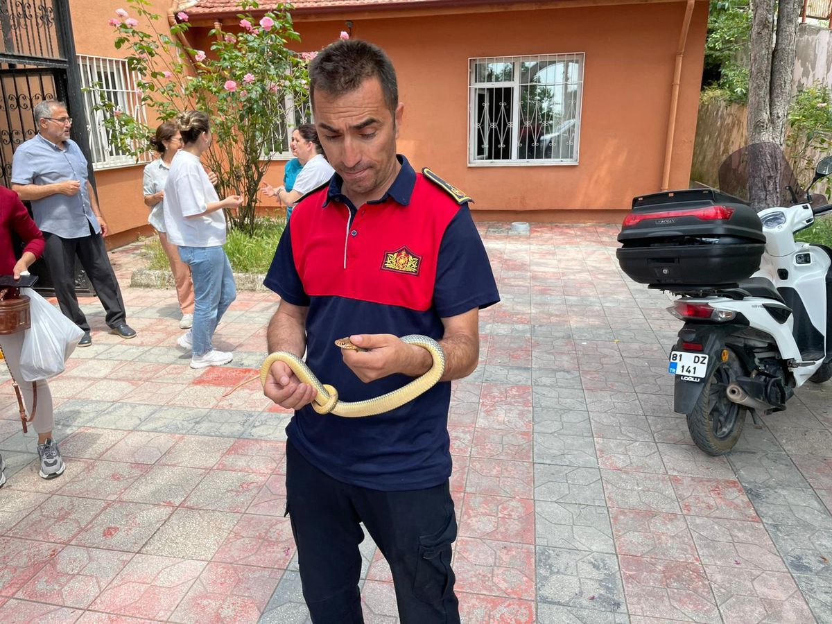 Aile Sağlığı Merkezi’nde Yılan Paniği