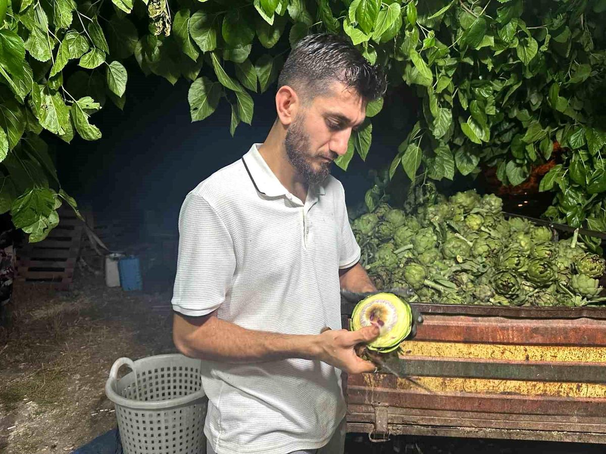 Bursa’da Enginar Soyucularının Başarı Hikayesi