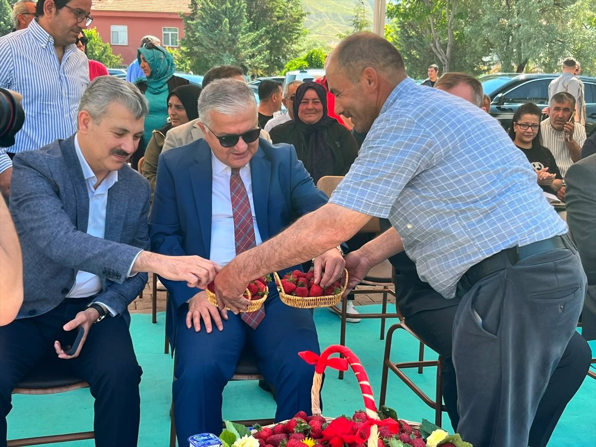 Aksaray’da 690 Bin Çilek Fidesi Dağıtımı