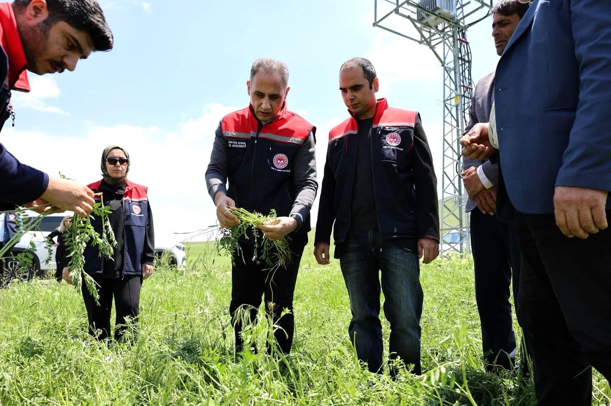 Akyaka’da Dolu Zararı: Çiftçiler Mağdur
