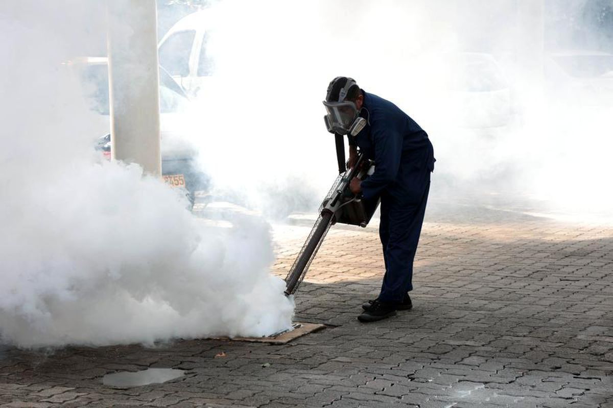 Sri Lanka’da Dang Humması İçin Denetim Başladı