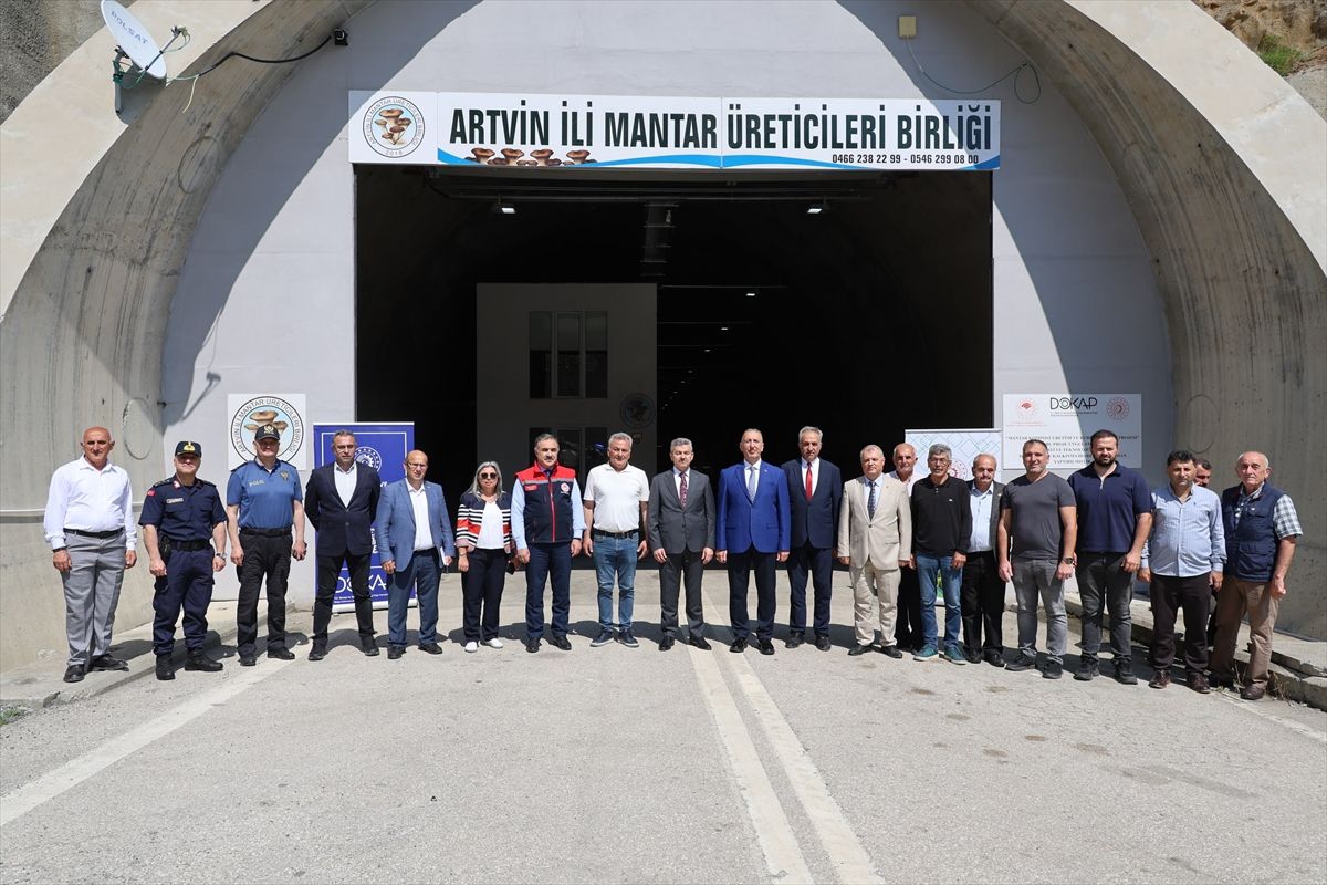 Artvin’de İstiridye Mantarı Hasadı Başladı