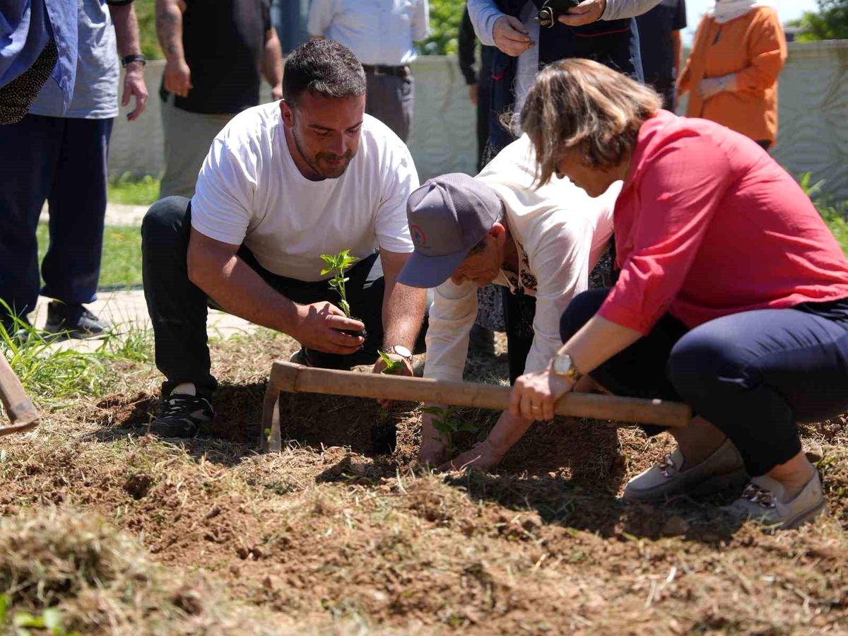 Ata tohumu kuşakları buluşturdu