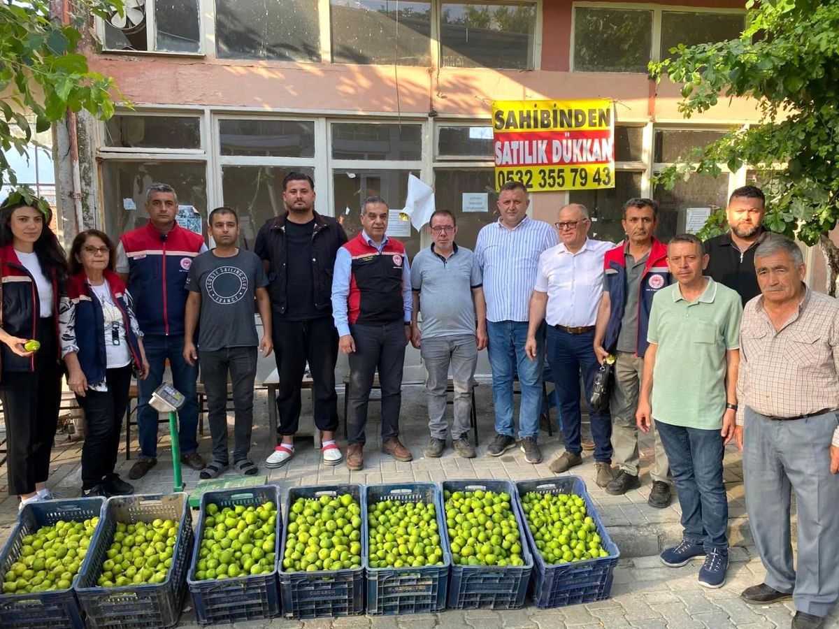 Aydın’da İncir Üretimi İçin Denetimler Devam Ediyor