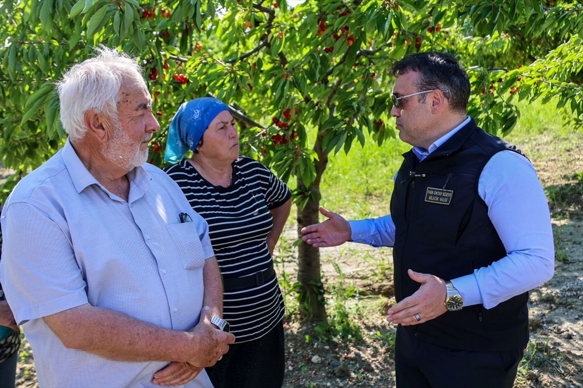 Vali Sözer, Kiraz Hasadına Katıldı