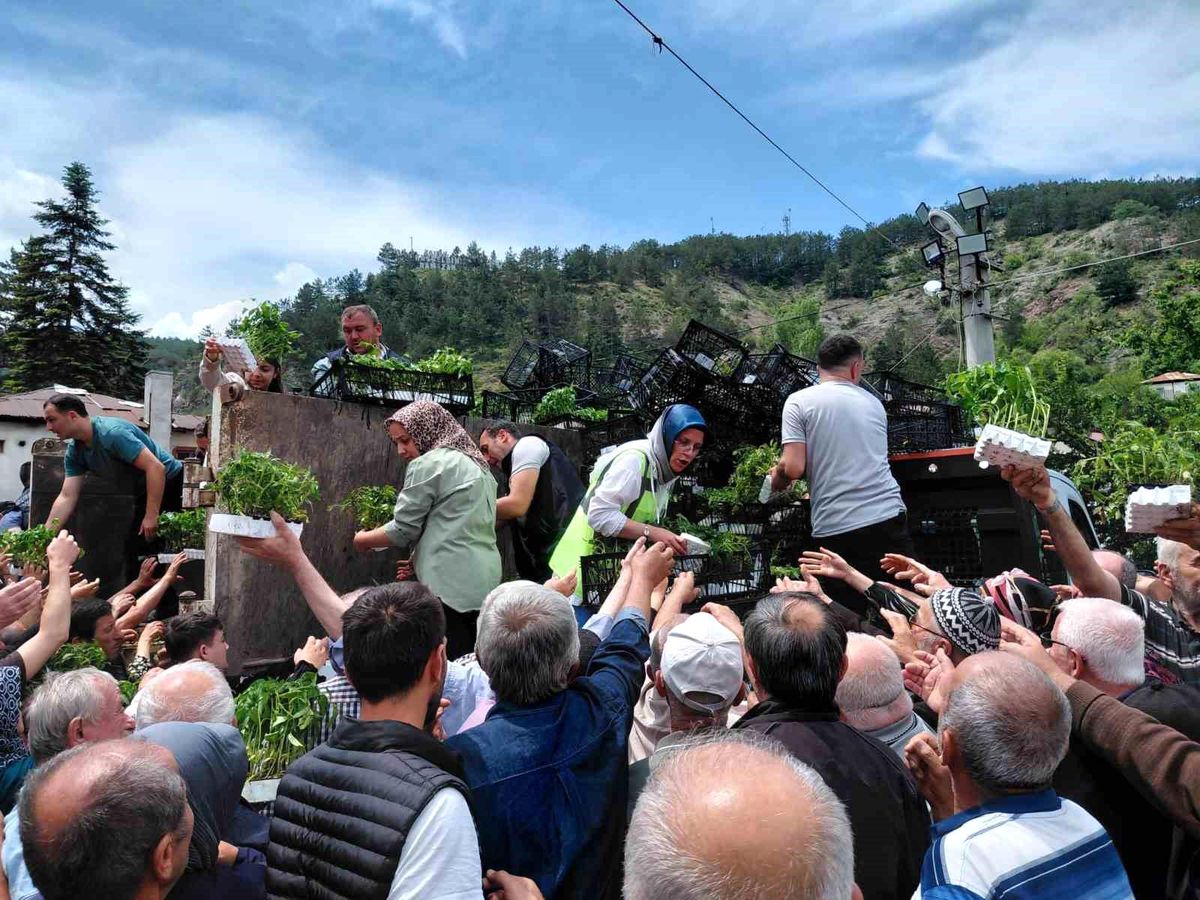 Mudurnu’da Ücretsiz Fide Dağıtımı Sona Erdi
