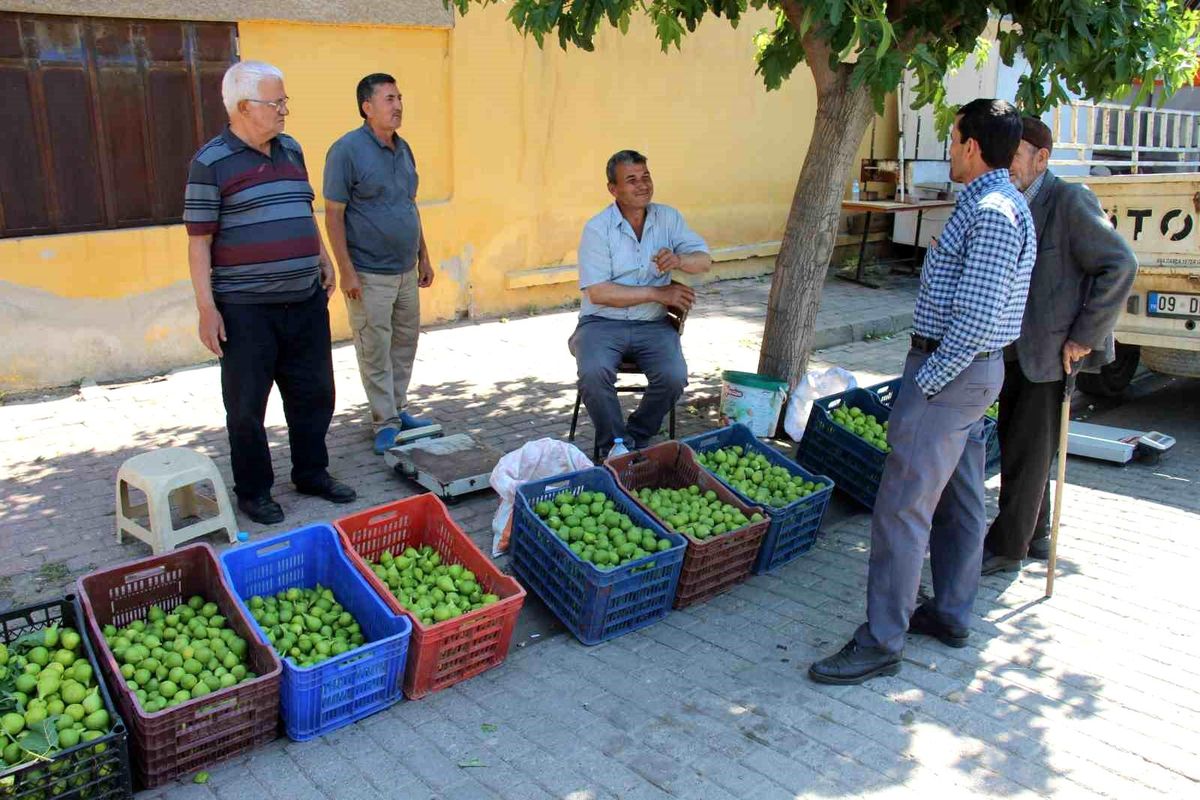 Aydın’da İlekler 500 TL’den Satılıyor
