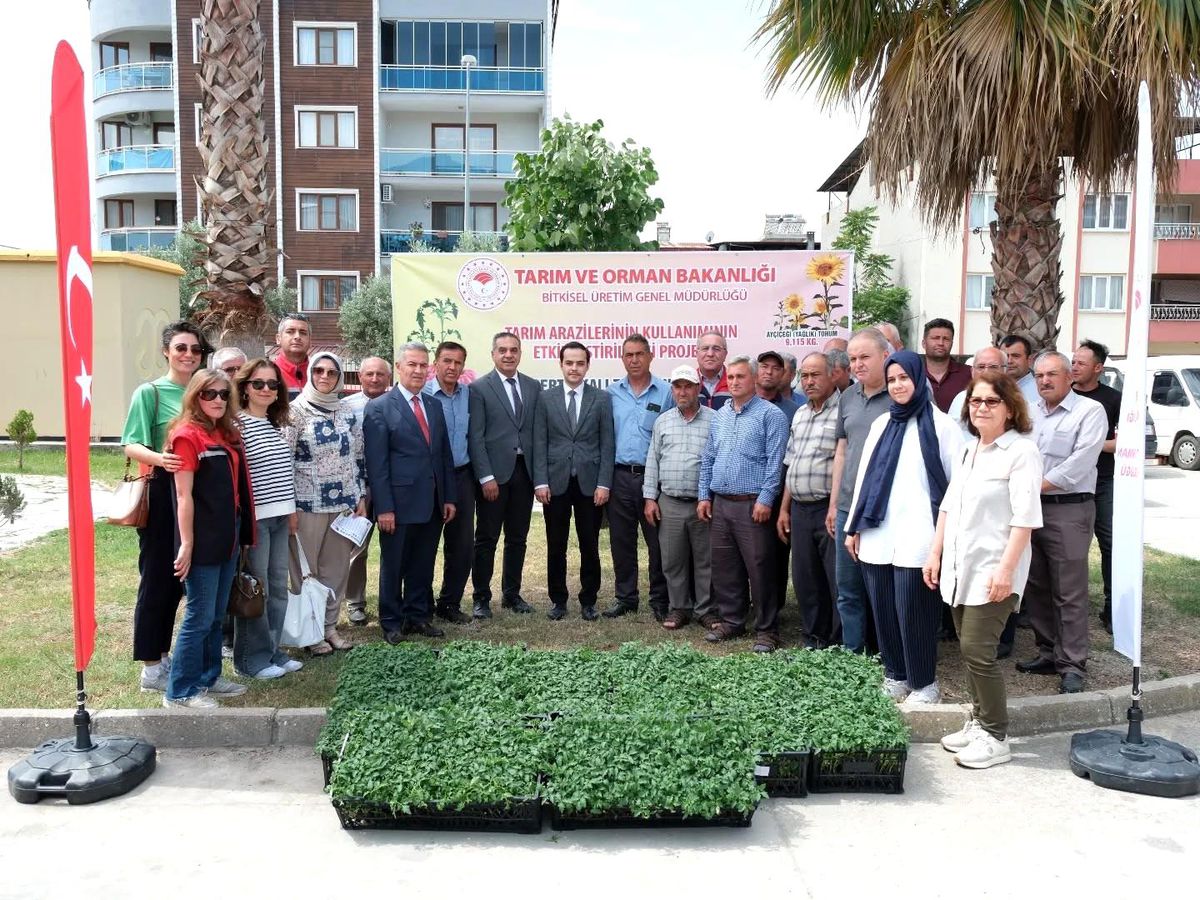 Aydın’da Geççi Domates Fidesi Dağıtımı
