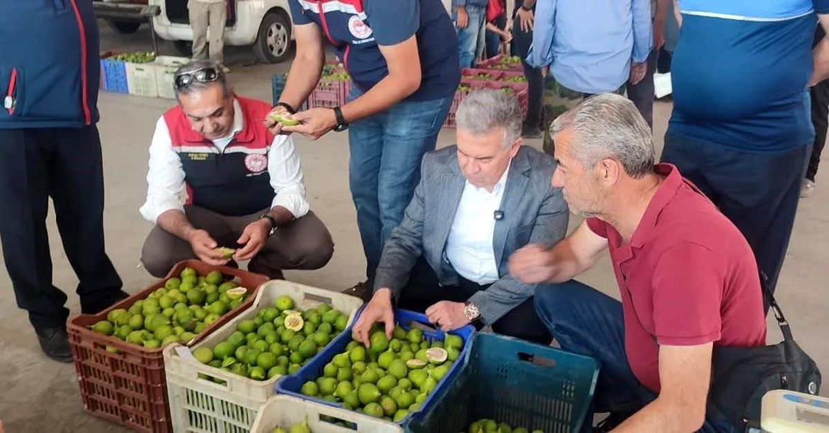 Buharkent’te ilekler, tezgahta incelendi