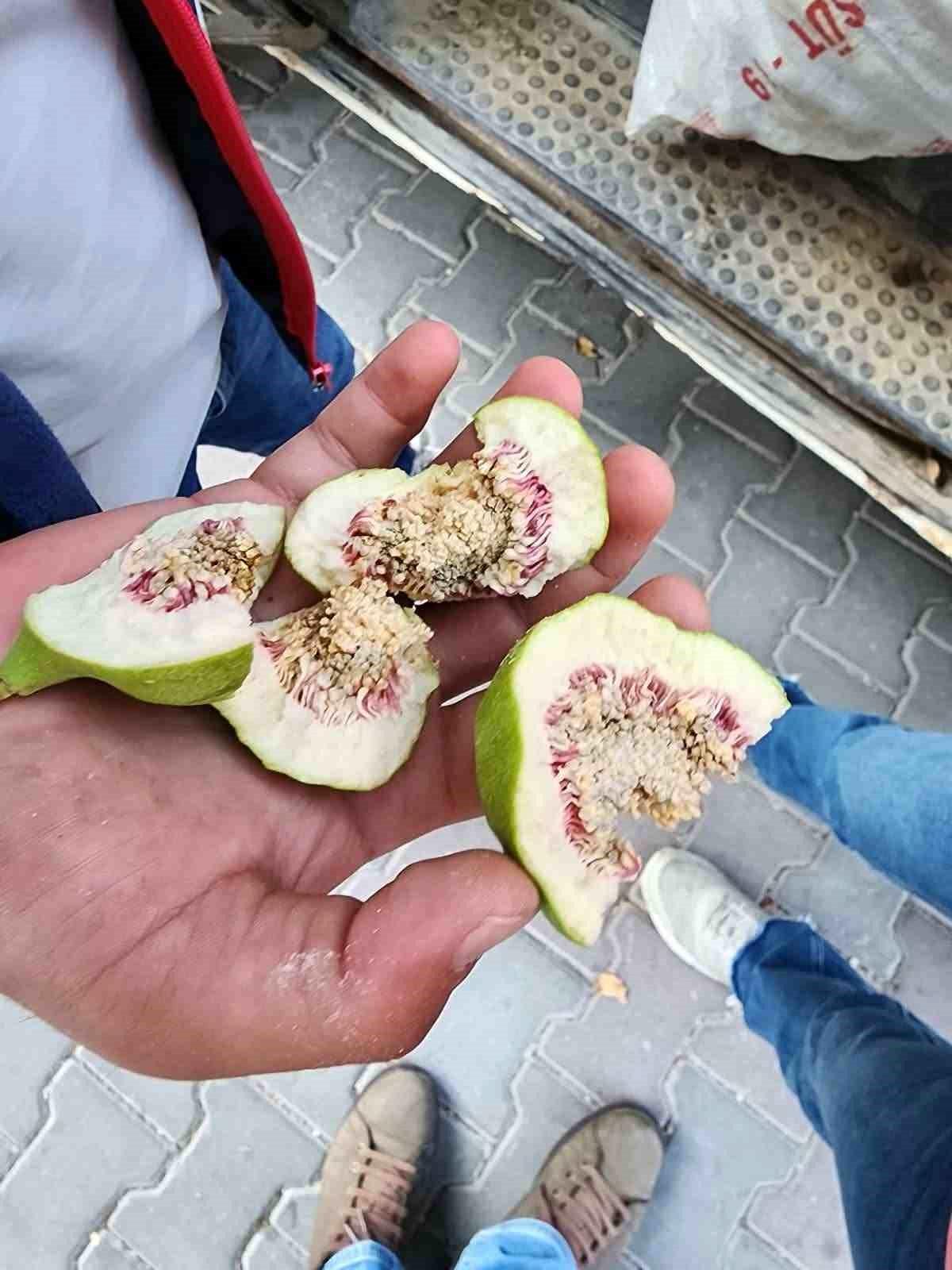 Buharkent’te İlek Denetimleri Sürüyor