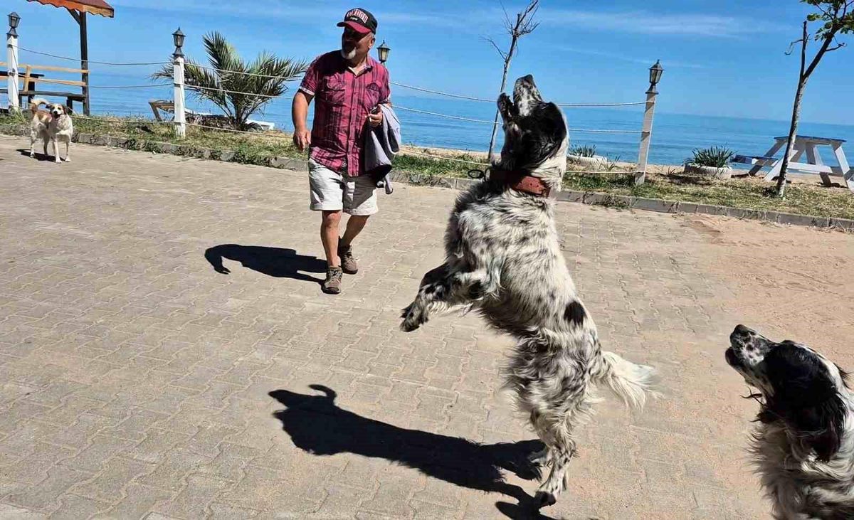 Dronsavar Köpekler Kapısuyu’nda