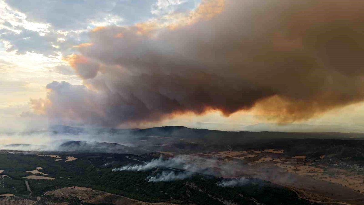 Çanakkale’de Yangınlar Tarımsal Zarara Sebep Oldu