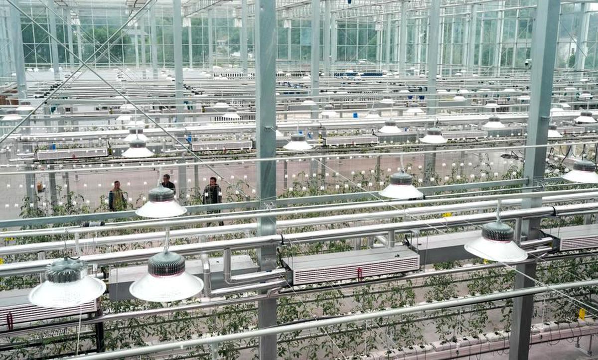 Çin’den Tarımda Modernleşme Planı
