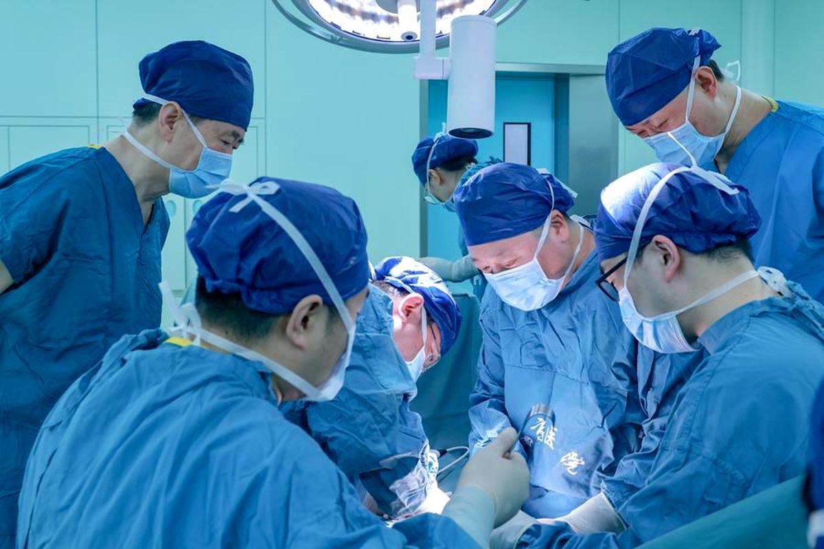Çin’den Ksenotransplantasyon ile Tarihi Nakil