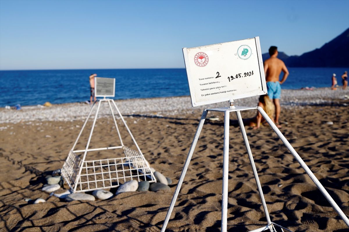 Caretta Carettalar Çıralı’da Gecikmeli Yuvaladı