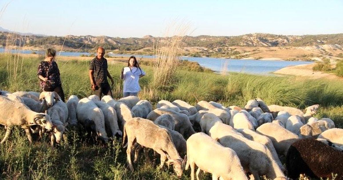 Çoban Kız Dalya, Üniversiteyi Birincilikle Bitirdi