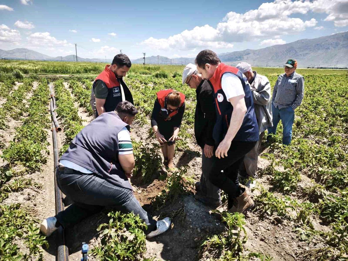 Dinar’da Dolu Sonrası Hasar Tespiti