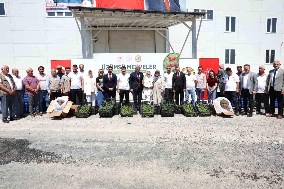 Düzce’de Çiftçilere Fide ve Sulama Sistemi Desteği