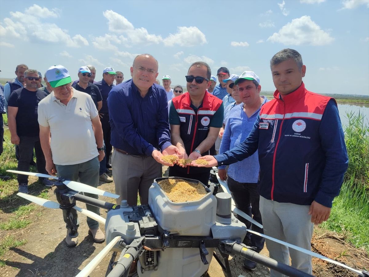 Edirne’de Dronla Çeltik Ekimi