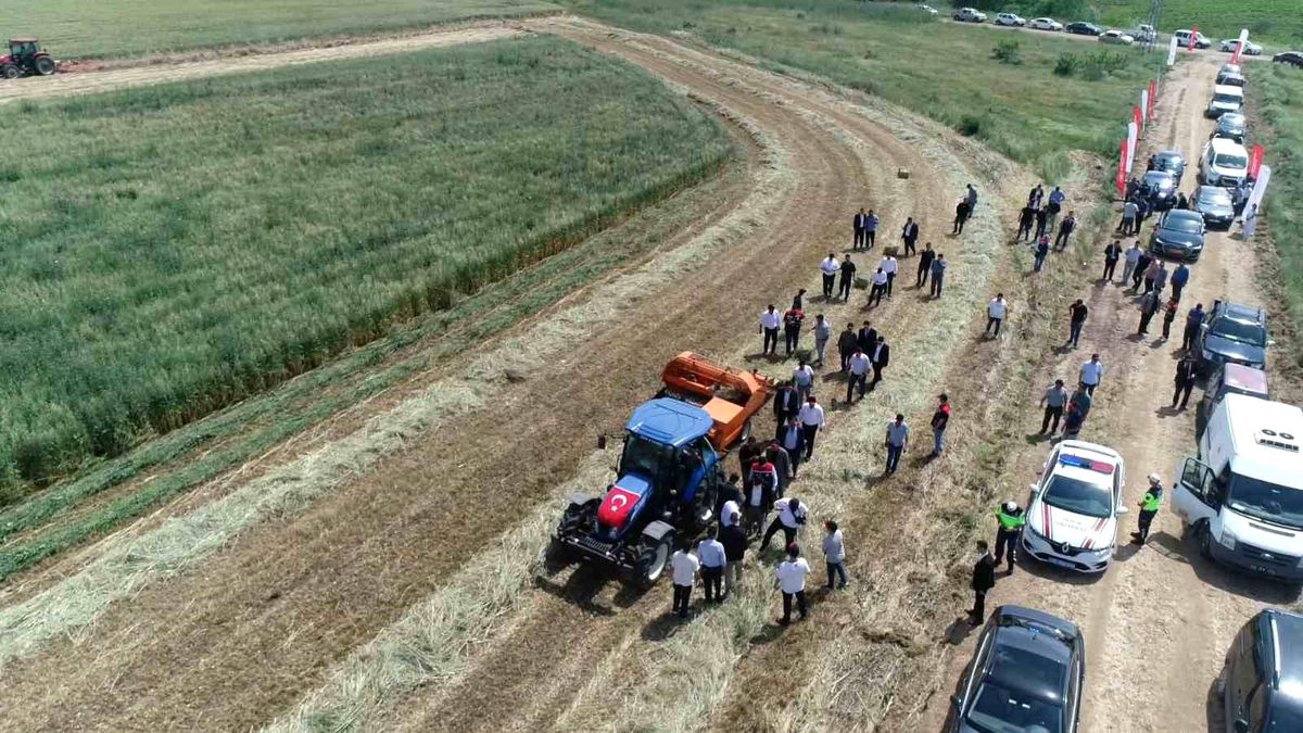 Edirne’de Mera Çalışmalarıyla Hayvancılığa Destek