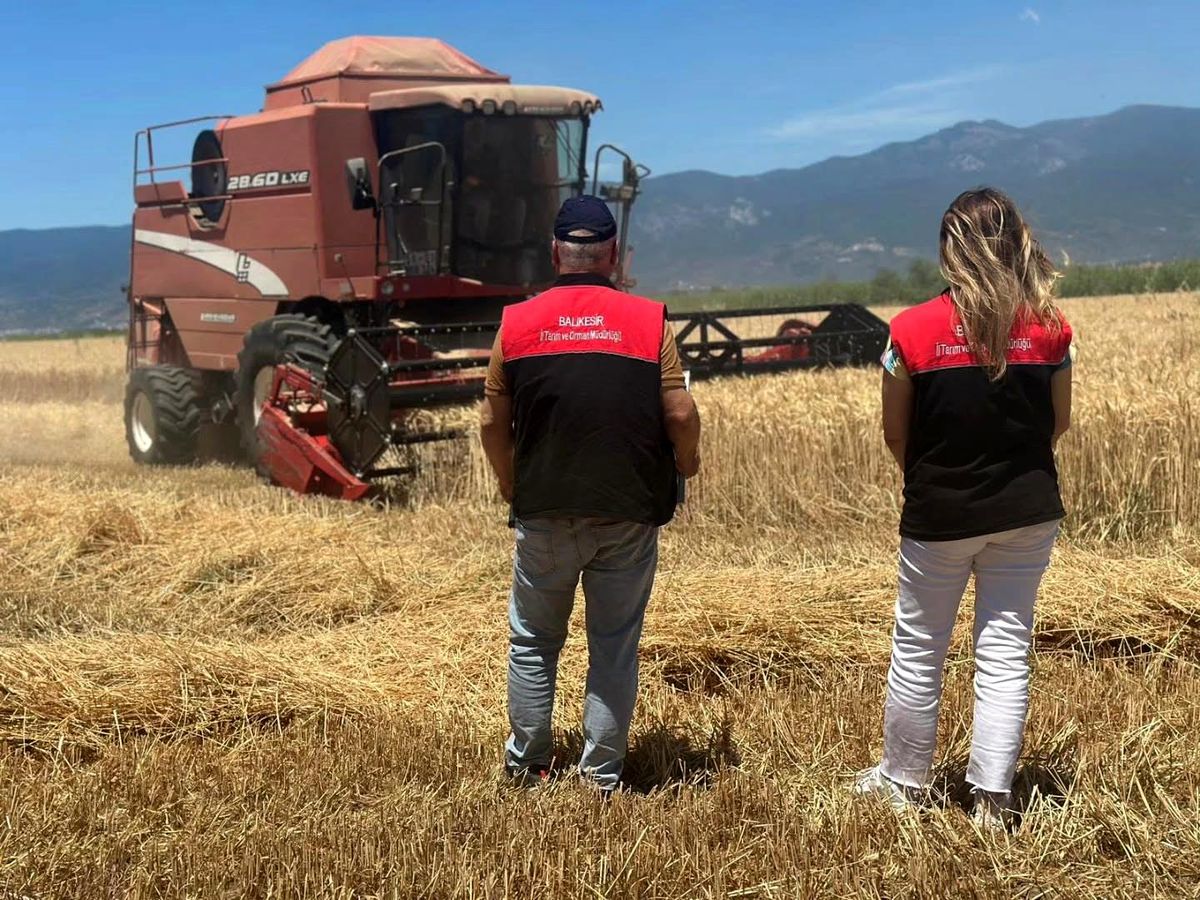 Buğday Hasadı Edremit’te Başladı