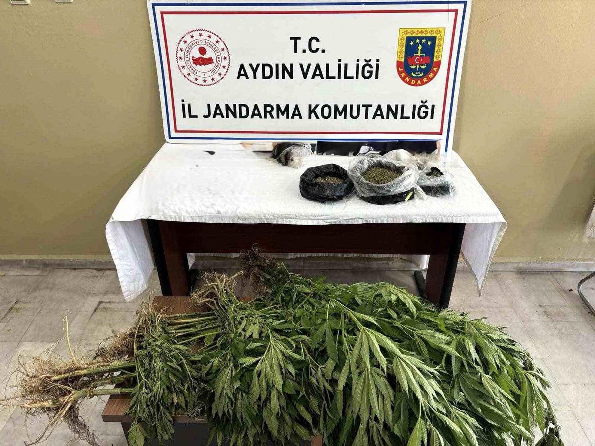 Aydın’da Uyuşturucu Operasyonu: 1 Tutuklama