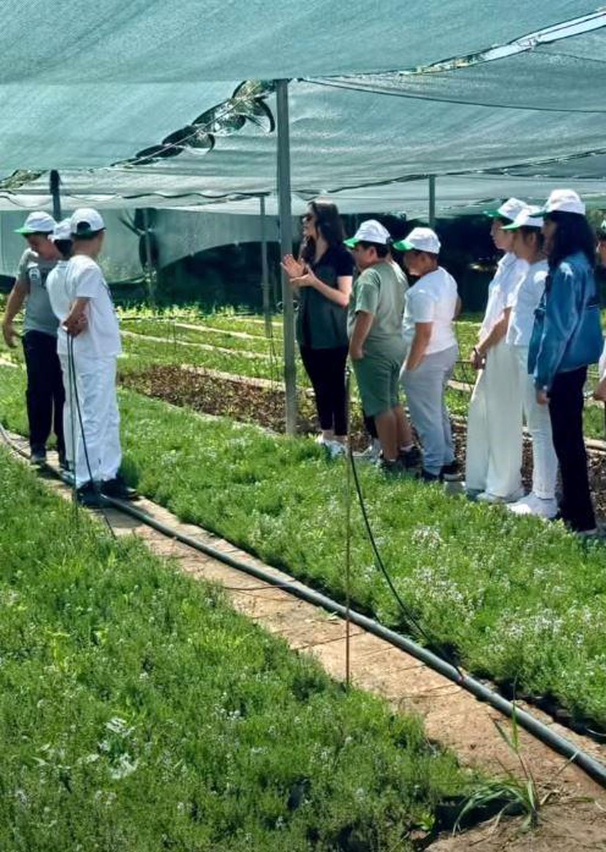 Öğrenciler Fidan Üretiminde Bilgilendirildi
