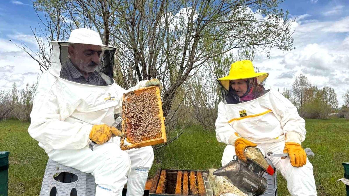 Ağrı’da Arıcılıkta Hedef 2 Ton Bal