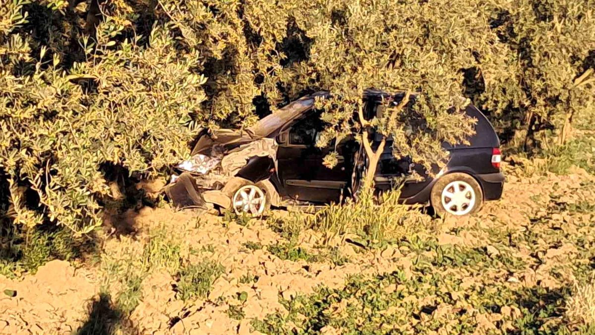 İznik’te Otomobil Ağaca Çarptı