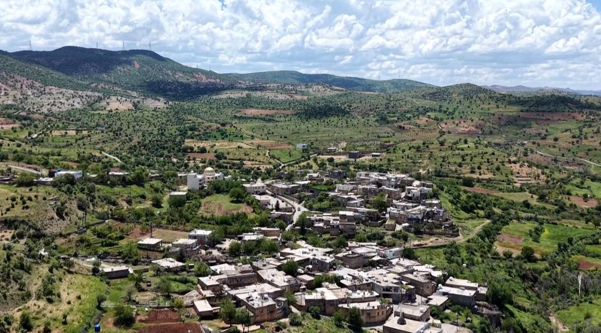 Gercüş’te Bahar Hasadı Başlıyor