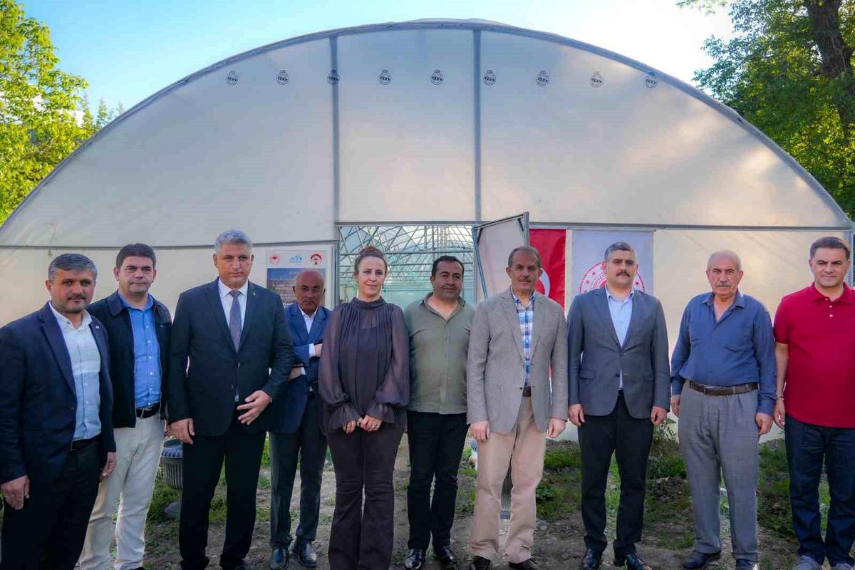 Hakkari’de 1.080 Çiftçiye Fide Dağıtımı