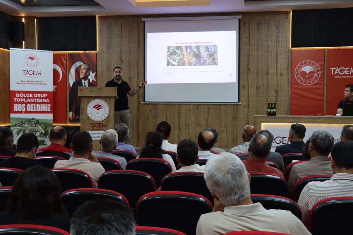 Hatay’da Zeytin Sorunları ve Çözüm Önerileri Toplantısı