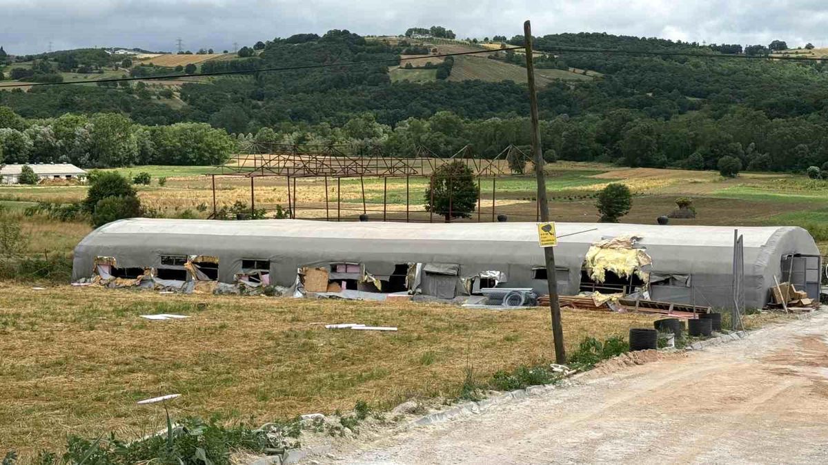 Kaynarca’da Yangın: 5 Kuzu Telef, Bin Balya Yok Oldu