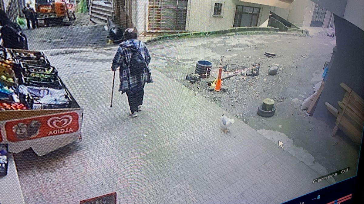 Ayşe Baş’ın Martı Arkadaşı