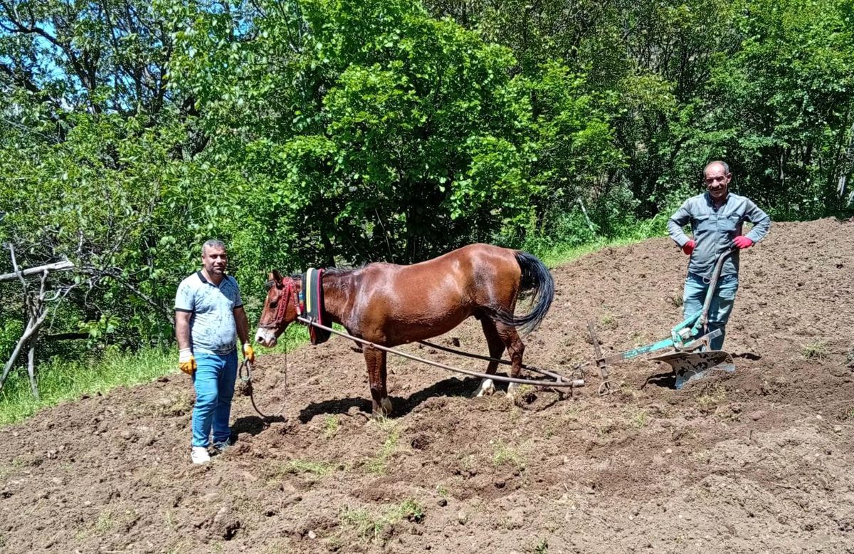 Hizan’da Geleneksel Tarım Uygulamaları