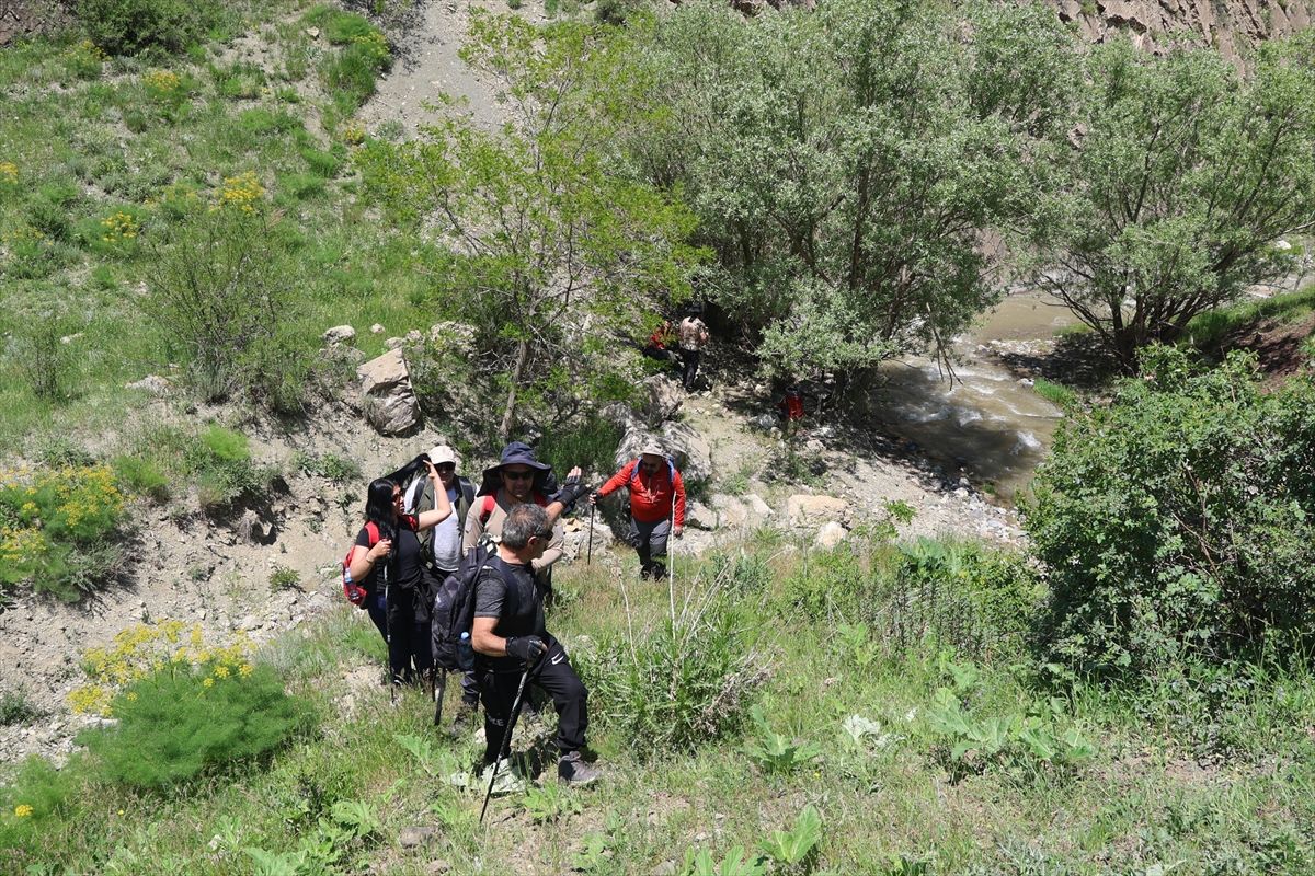 Testere Vadisi: Doğaseverlerin İlgi Merkezi