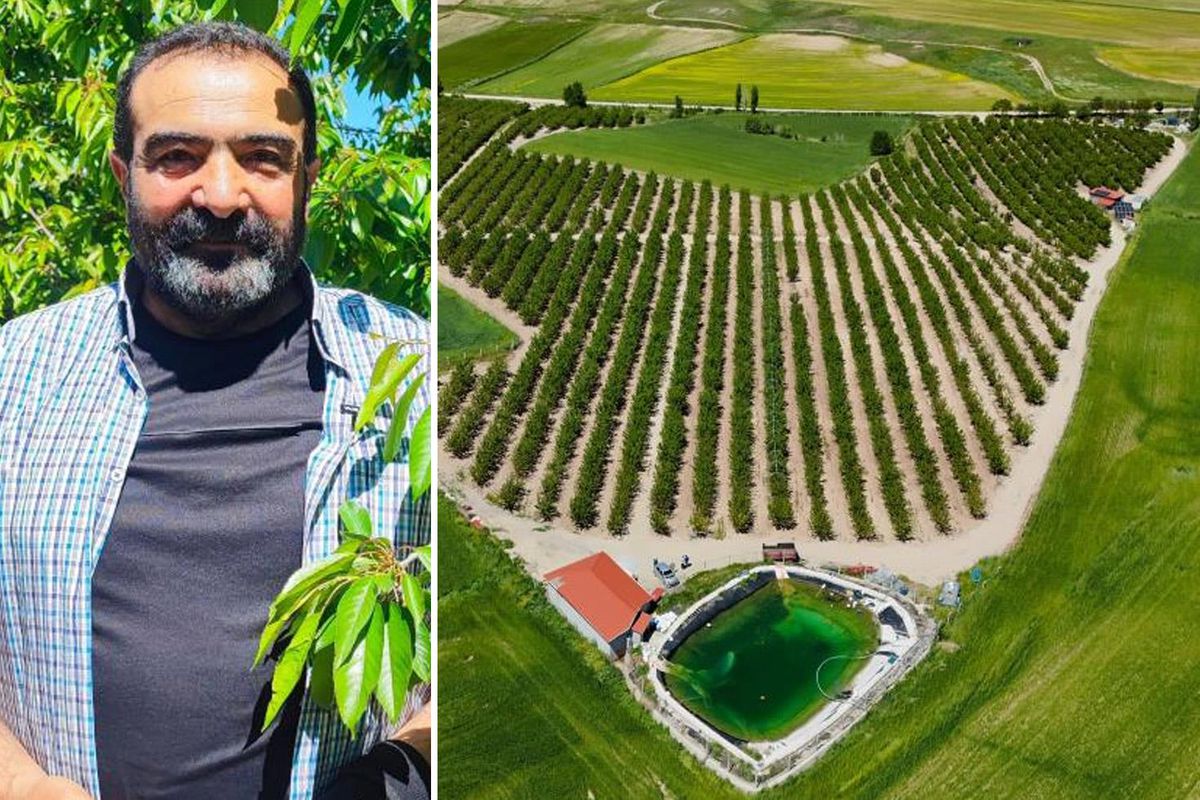 İlçenin başına talih kuşu kondu! Japonya’ya 200 ton ürün gönderecekler