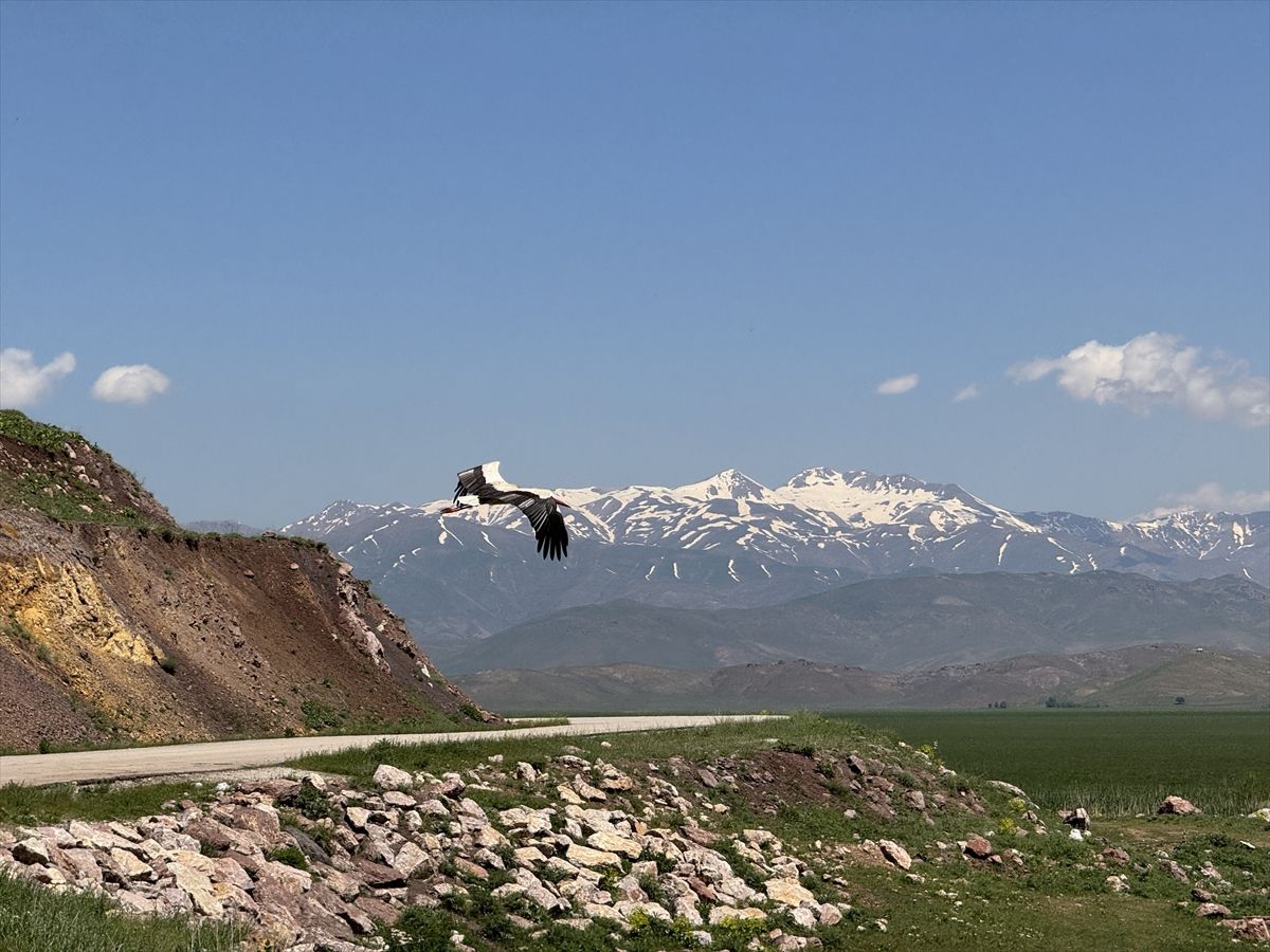 Öğrenciler Hakkari’de Biyoçeşitliliği İnceledi