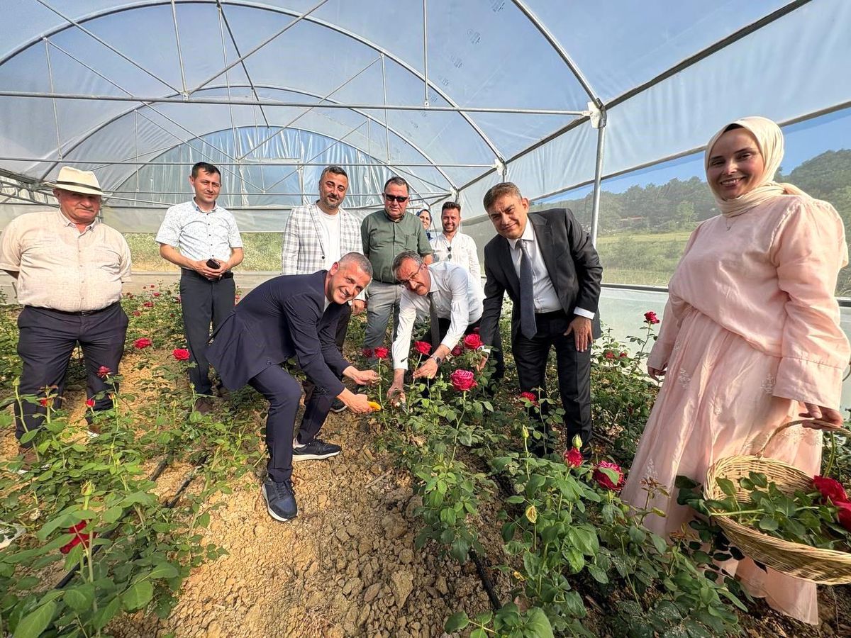 Kadın girişimci hibe desteğiyle Kocaeli’nin ilk gül serasını kurdu