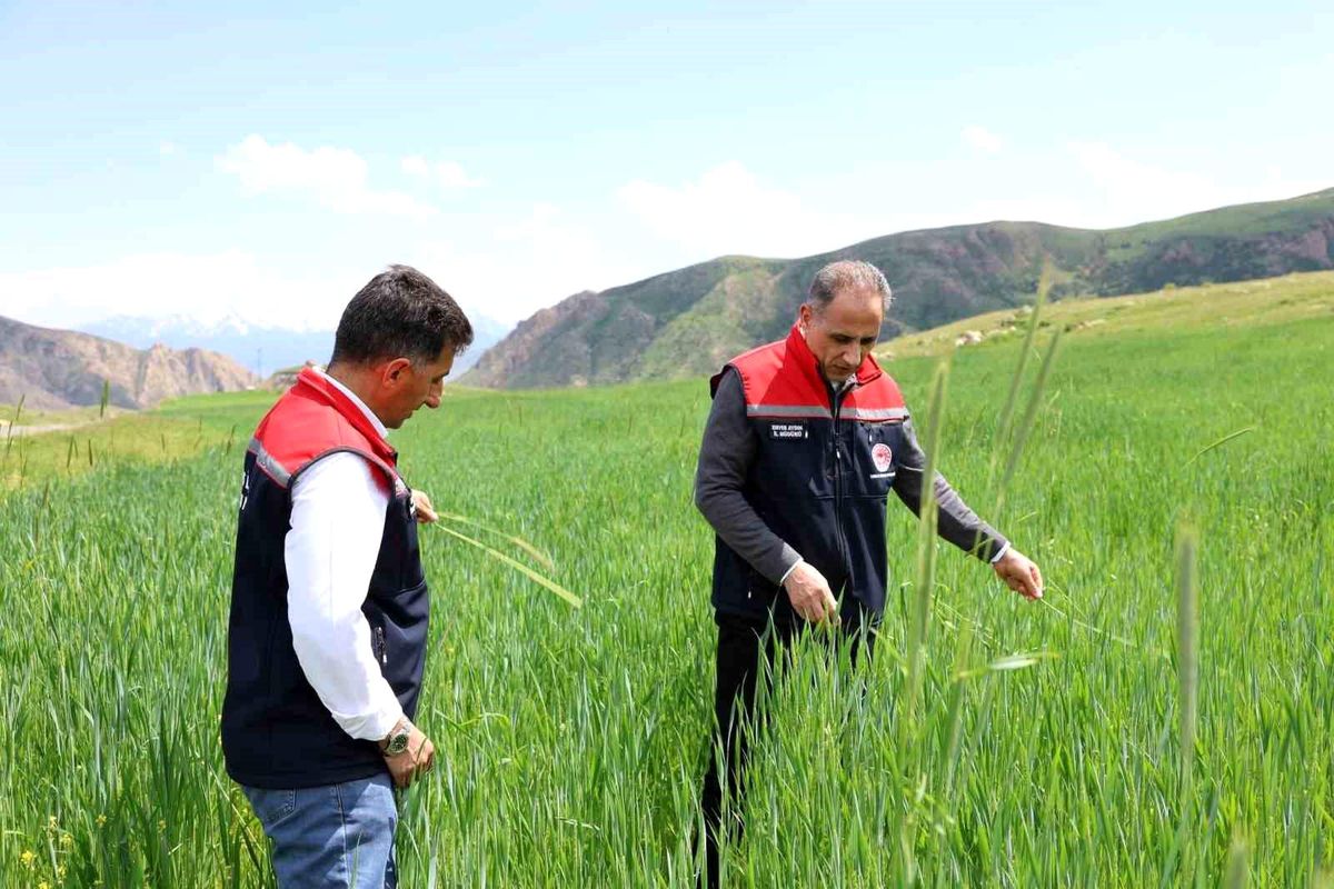 Kars’ta Tarımsal Üretim Değerlendirildi
