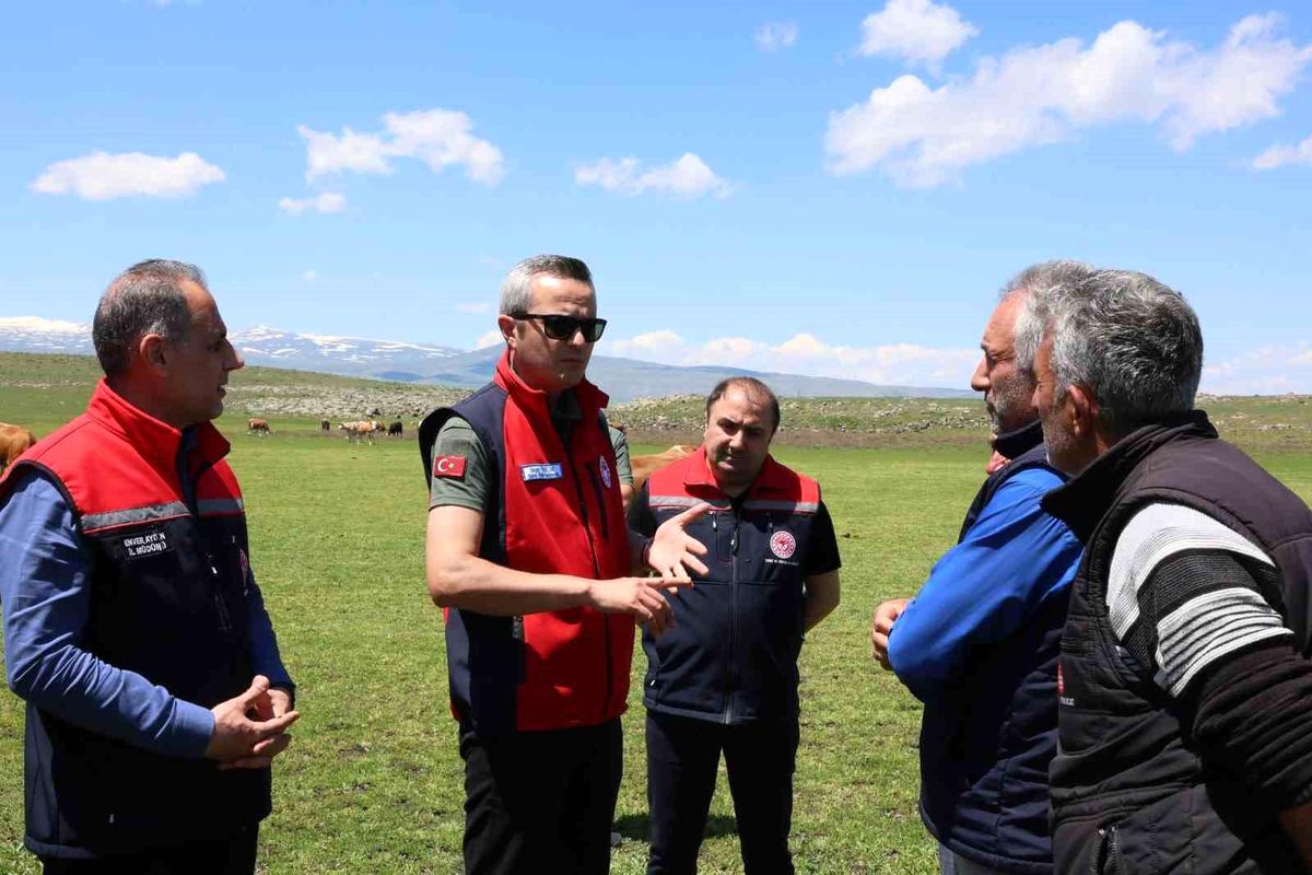 Kars’ta Hayvancılık Değerlendirmesi