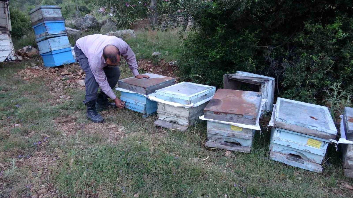 Kozan’da Yayla Yolculuğu Başladı