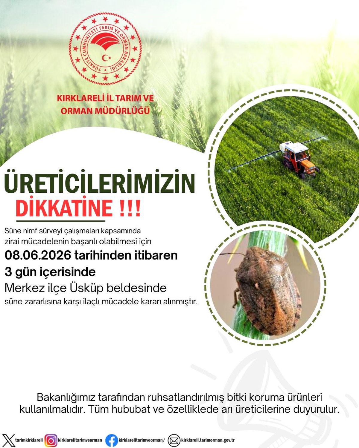 Kırklareli’de Süne Zararlısına İlaçlı Mücadele Başlıyor