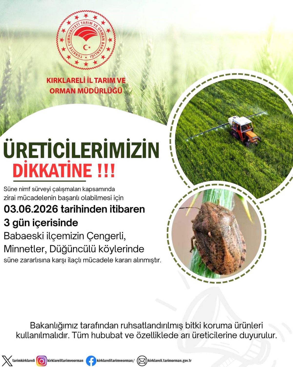 Kırklareli’nde Süne Zararlısına İlaçlı Mücadele