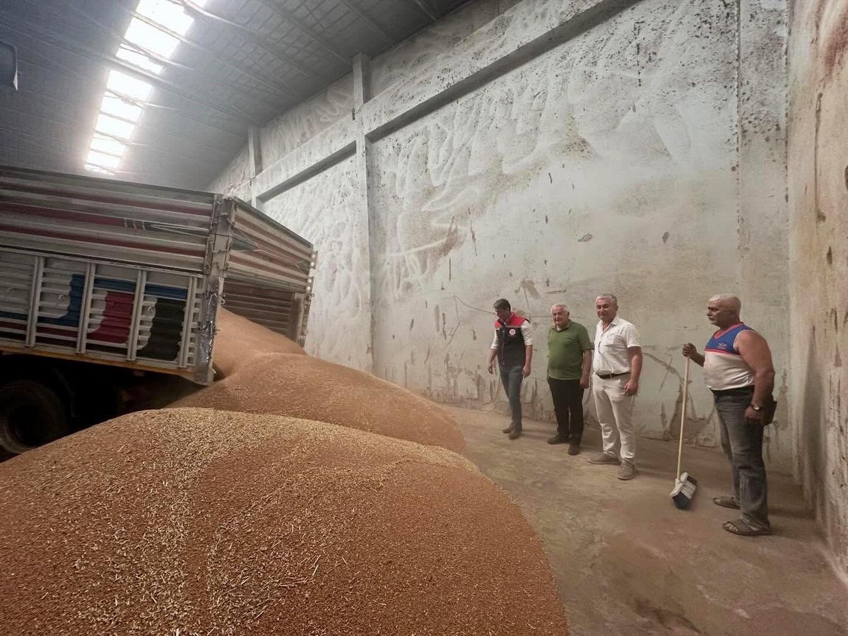 Koçarlı’da İlk Hububat Alımı Gerçekleşti