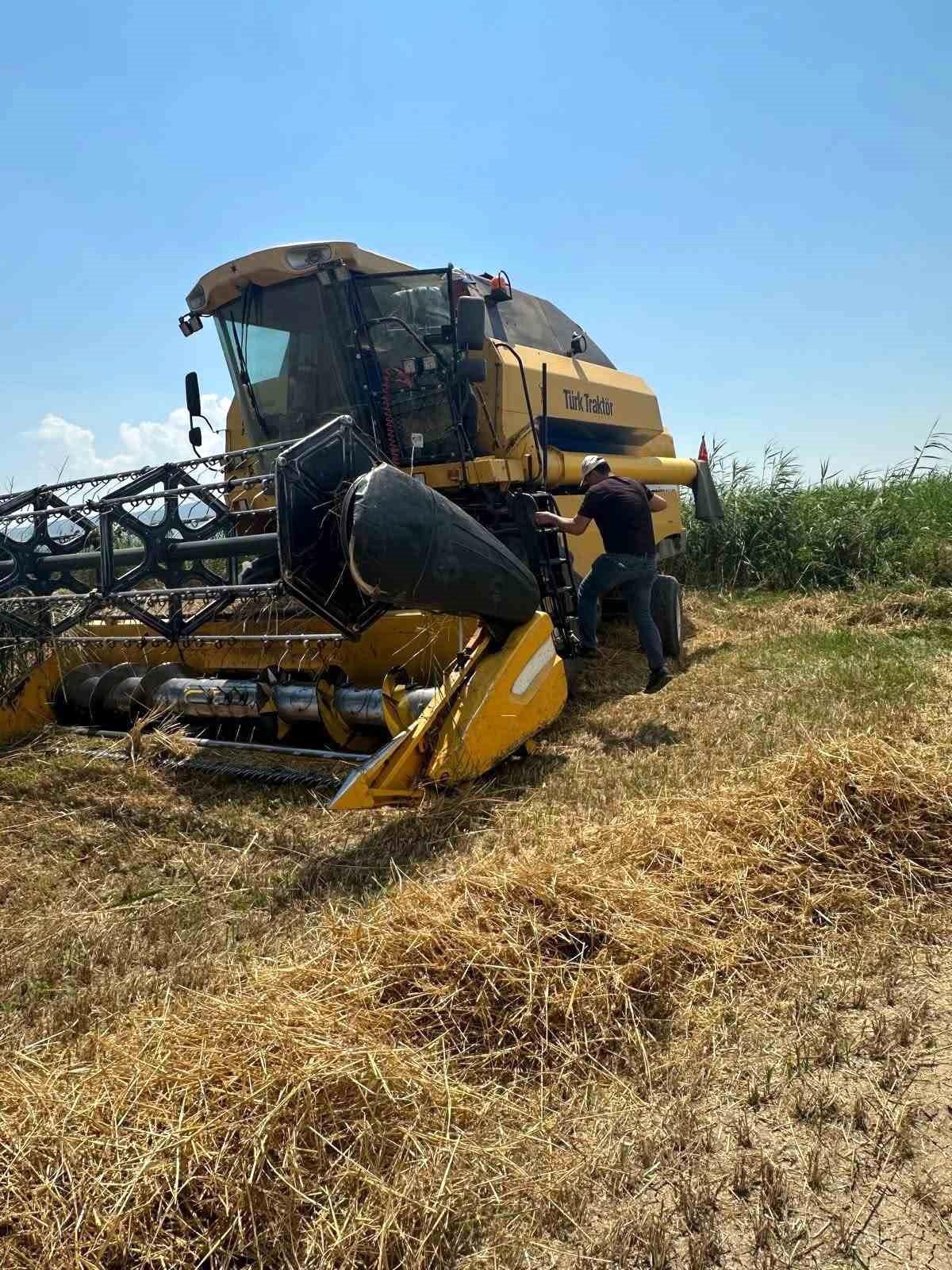 Köşk’te Hasat Kontrolleri Başladı