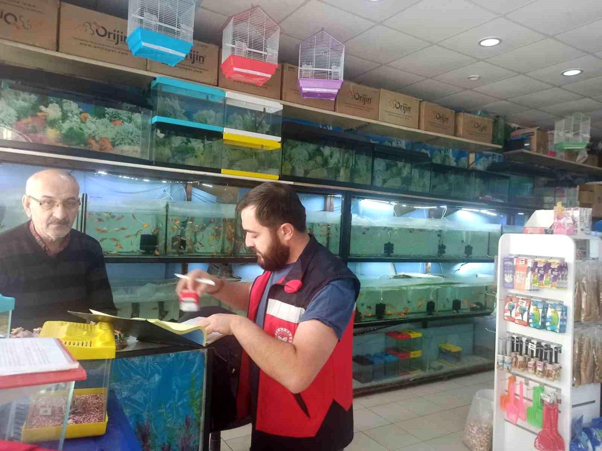 Kütahya’da Ev Hayvanı Satış Yerlerine Denetim