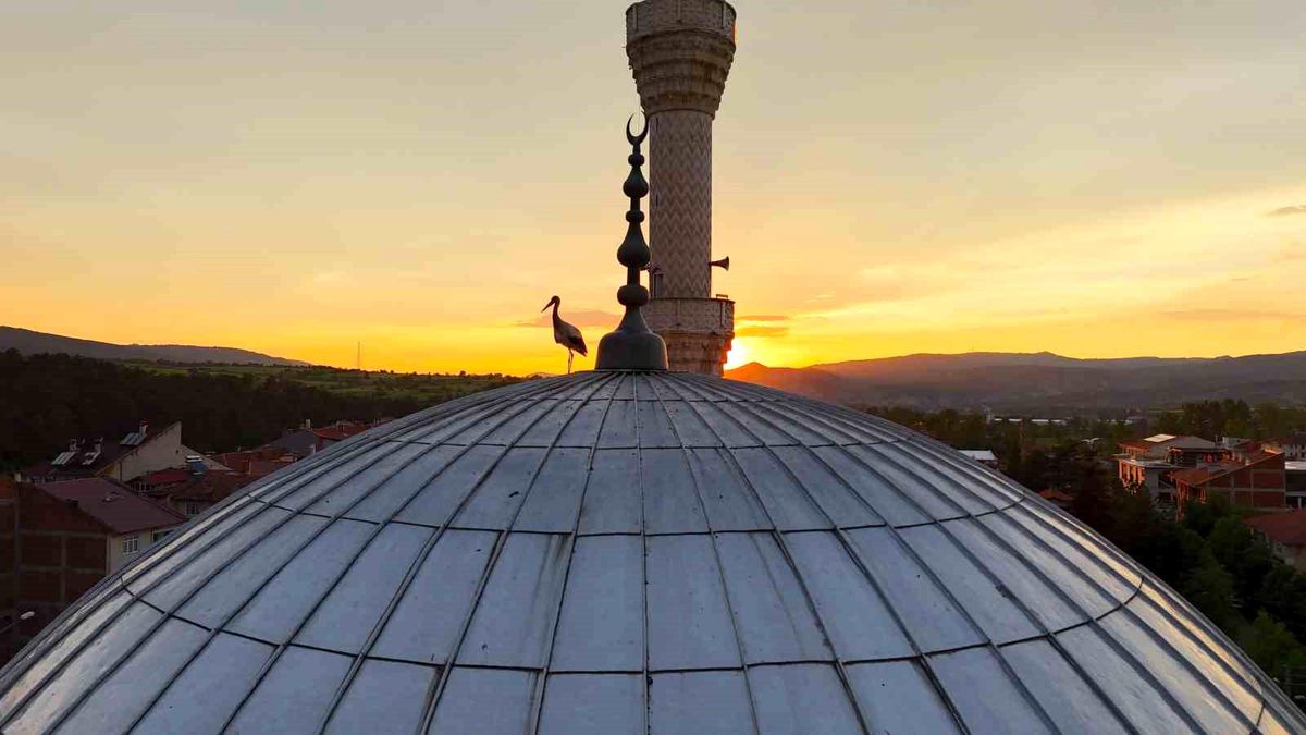 İhsangazi’de Leyleklerin Camii Keyfi