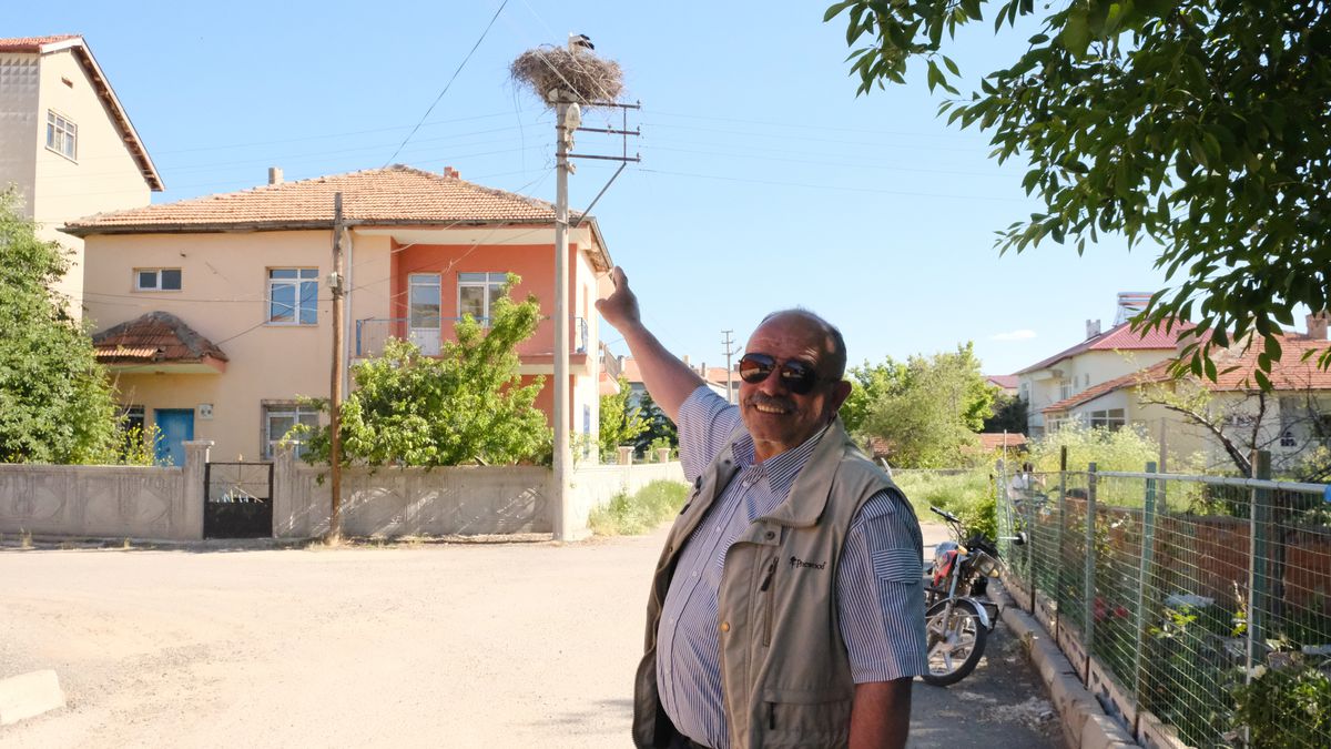 Leylekli Mahallede Yavru Sevinci