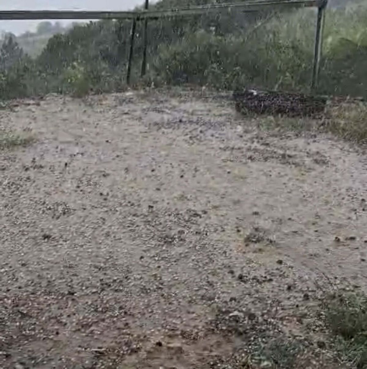 Alaşehir’de Dolu Tarım Alanlarına Zarar Verdi
